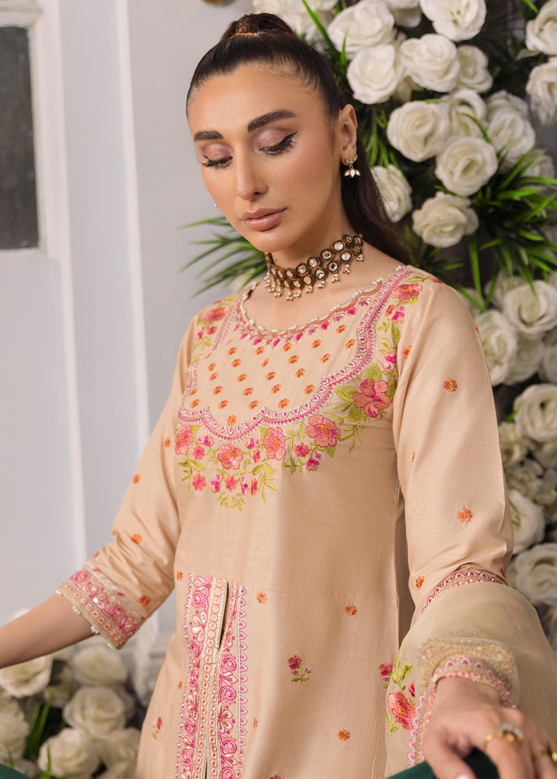 Daud Abbas | Formals Collection | Naimal - Waniyas