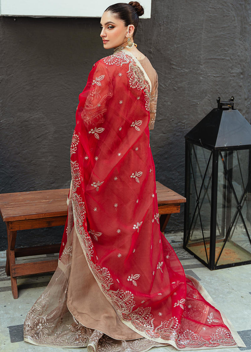 Daud Abbas | Formals Collection | Nihal - Waniyas