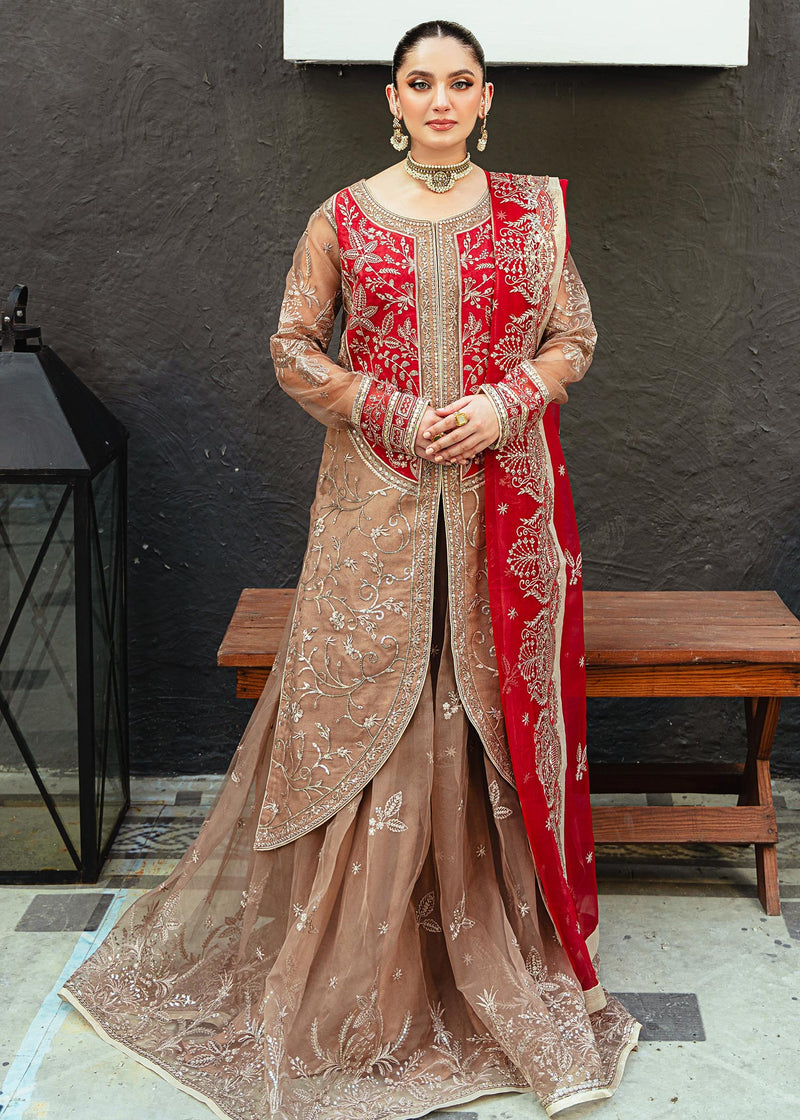 Daud Abbas | Formals Collection | Nihal - Waniyas