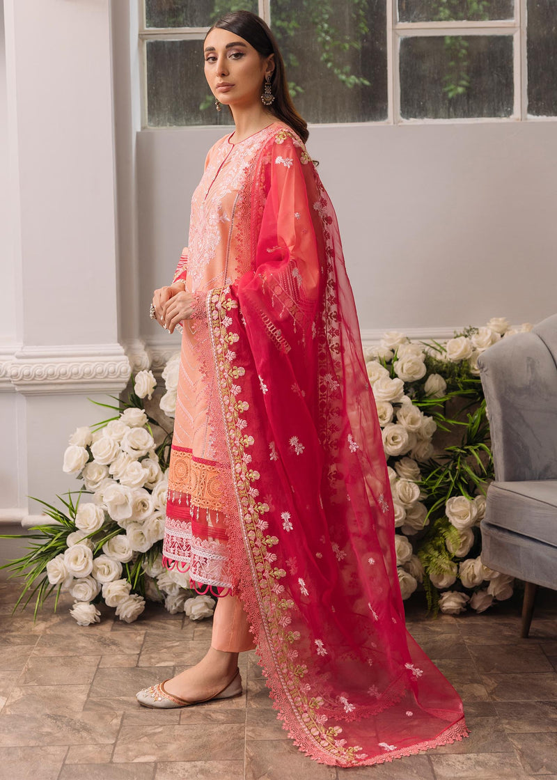 Daud Abbas | Formals Collection | Mehrma - Waniyas