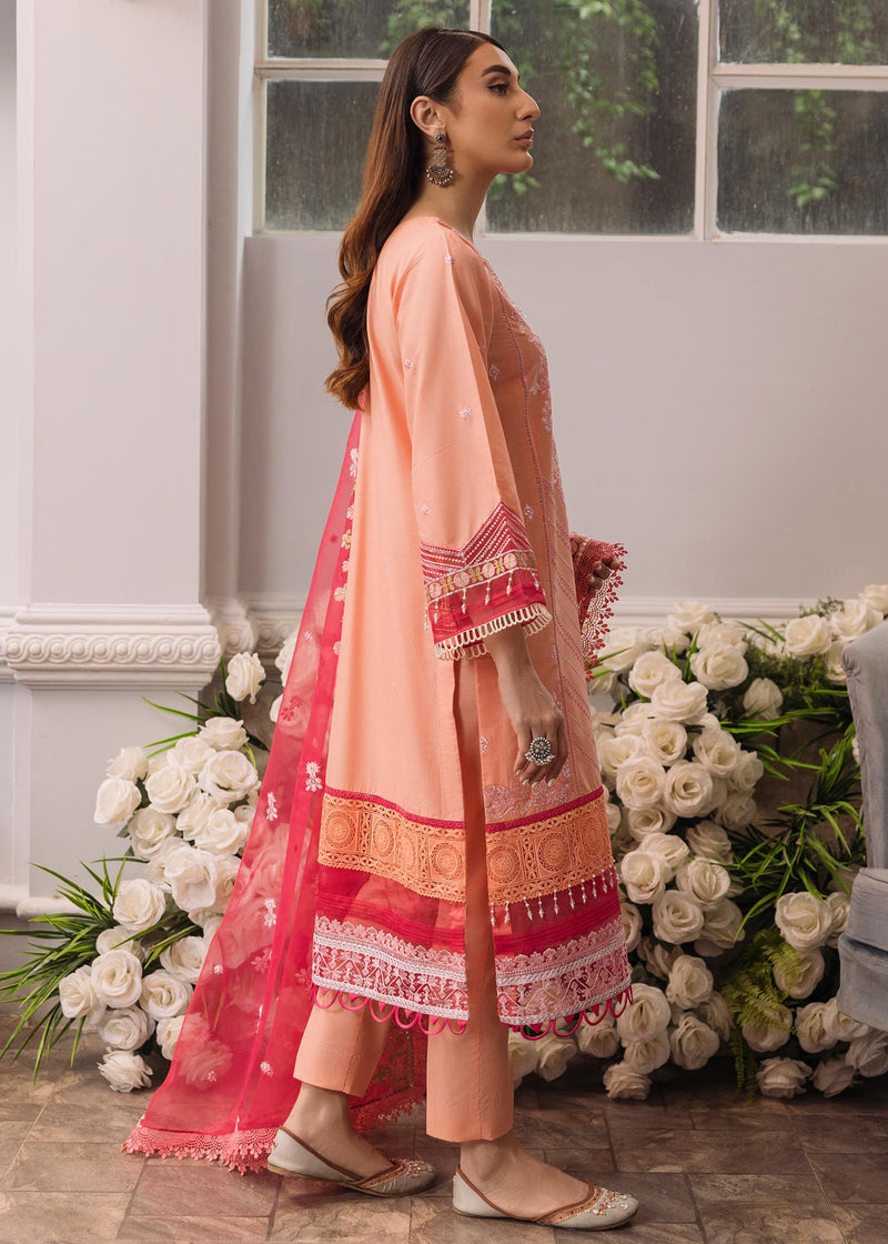 Daud Abbas | Formals Collection | Mehrma - Waniyas