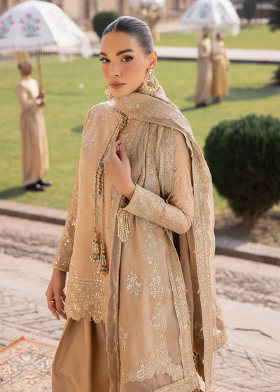 Zarizaa | Almari e Naaz | CHANDAN - Ladies Clothes - Maria Faisal