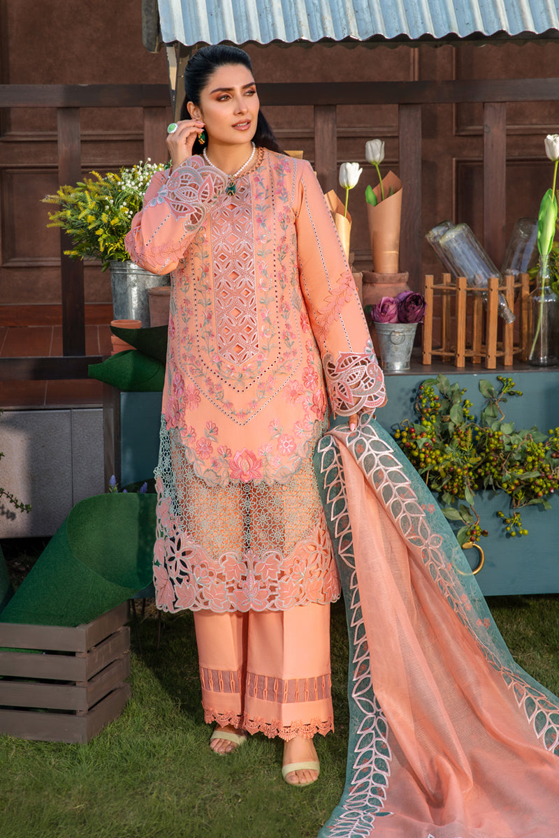 Rangrasiya | Premium Collection 24 | RANIA - Waniyas
