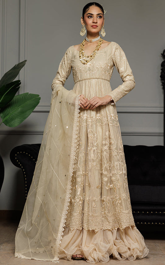 Threads and Motifs | Formal Dresses 25 | Net Embroidered Maxi - Ladies Clothes - Maria Faisal