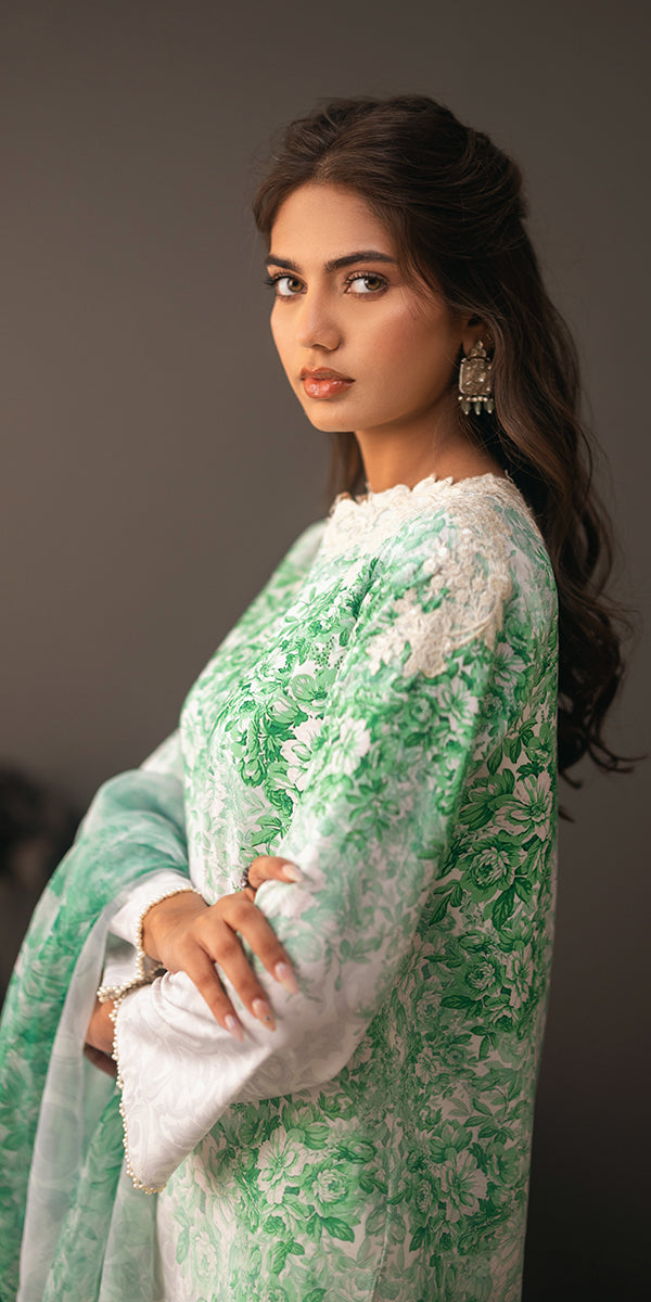Erum Khan | Beyond Basic | VIVID ELEGANCE - Designer Dress with Intricate embroidery and embellishments. Shop elegent wedding dress at Maria Faisal.