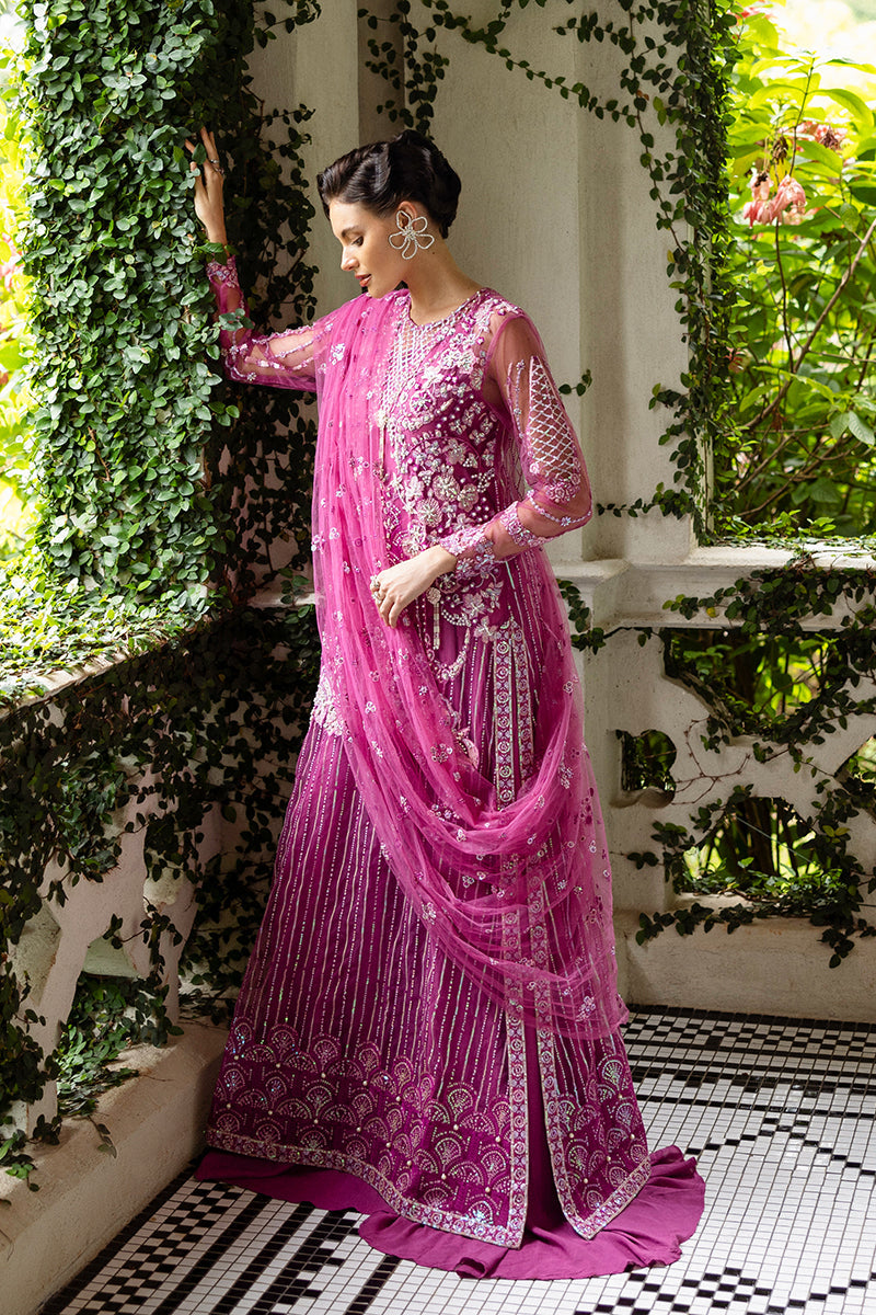 Mushq | Inception Hemline Wedding 25 | Sweet November - Ladies Clothes - Maria Faisal