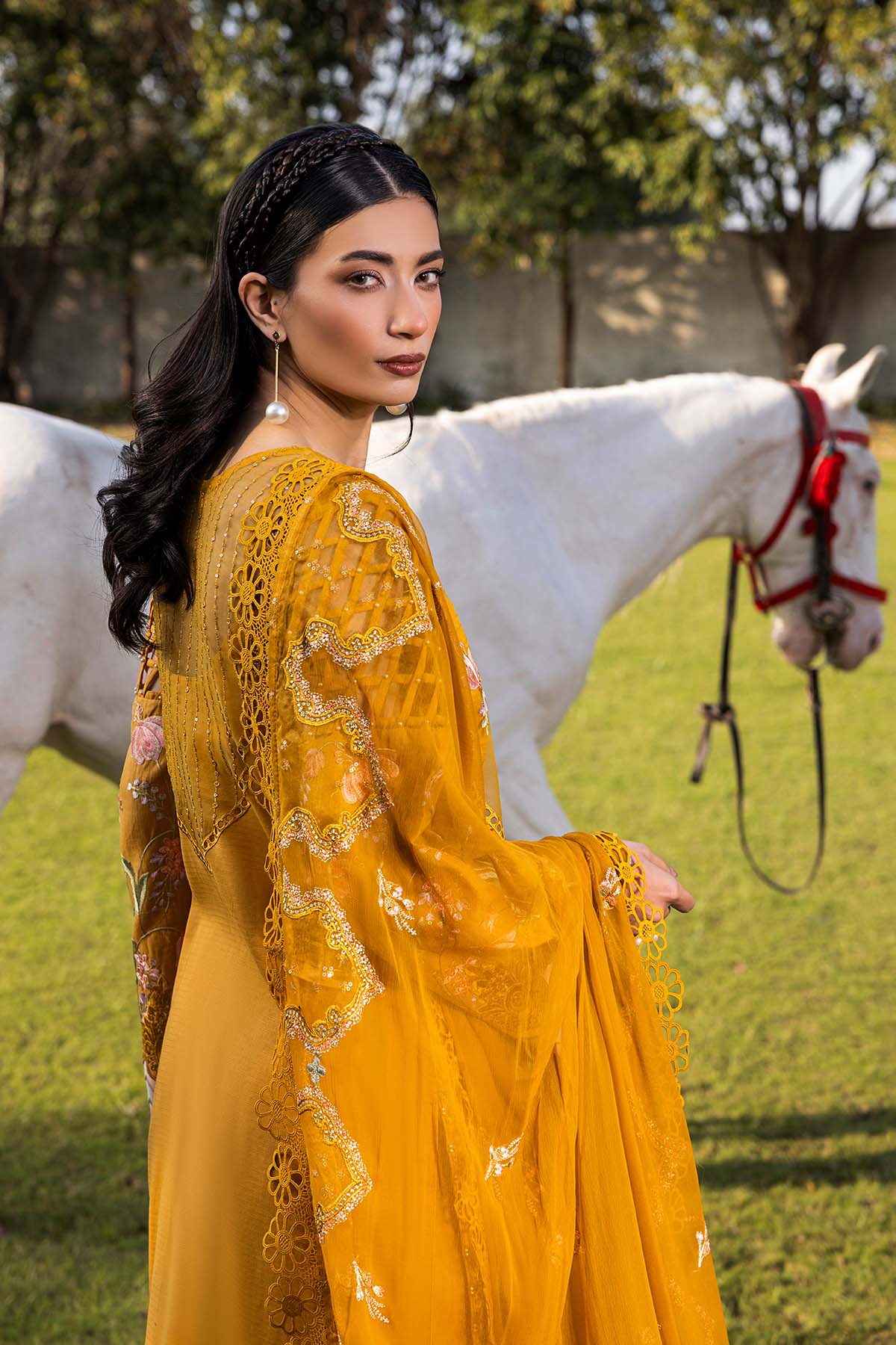 Raeesa Premium | Senorita Formals | SR-001 - Ladies Clothes - Maria Faisal