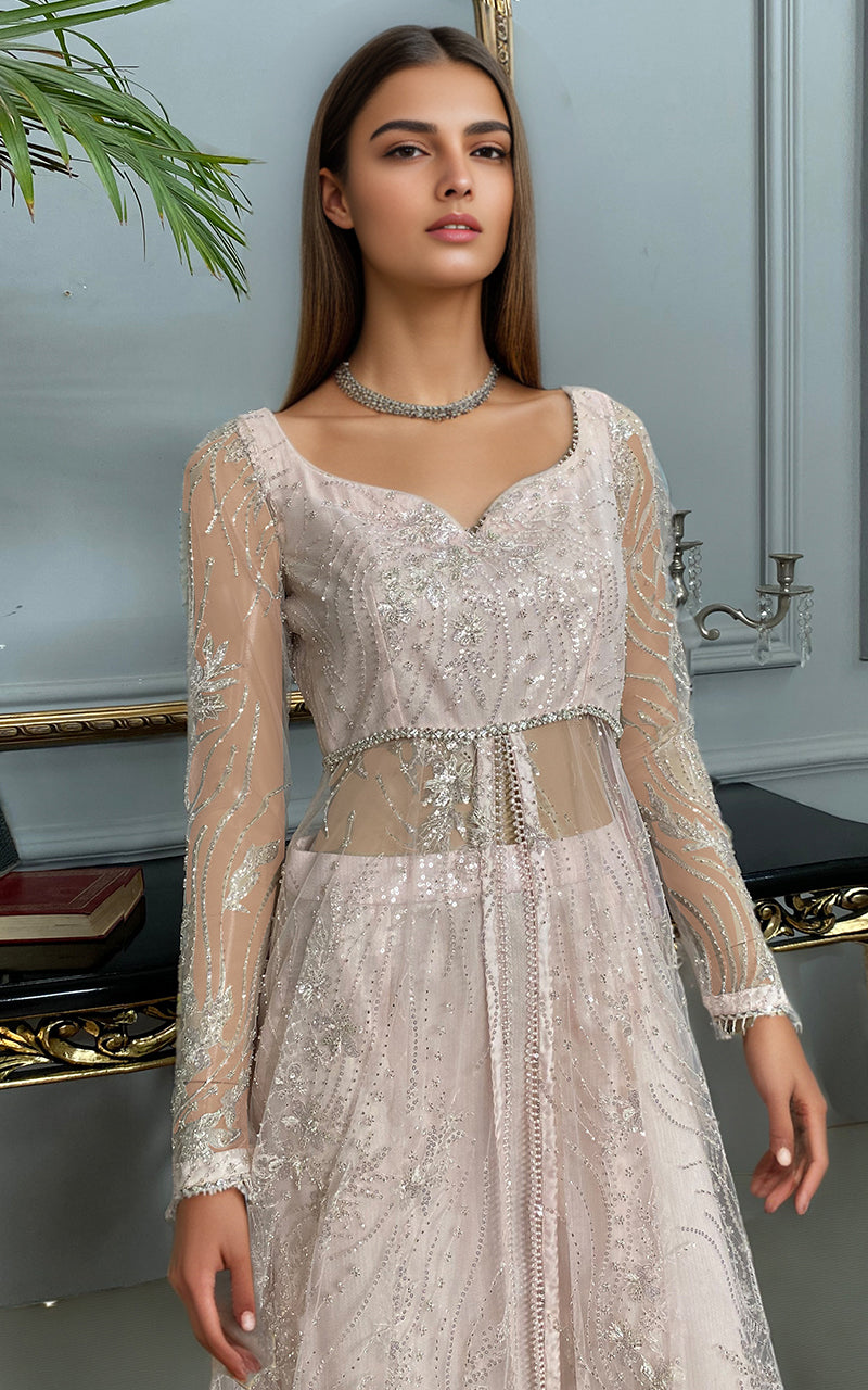 Threads and Motifs | Formal Dresses 25 | Net Embroidered Dress With Skirt