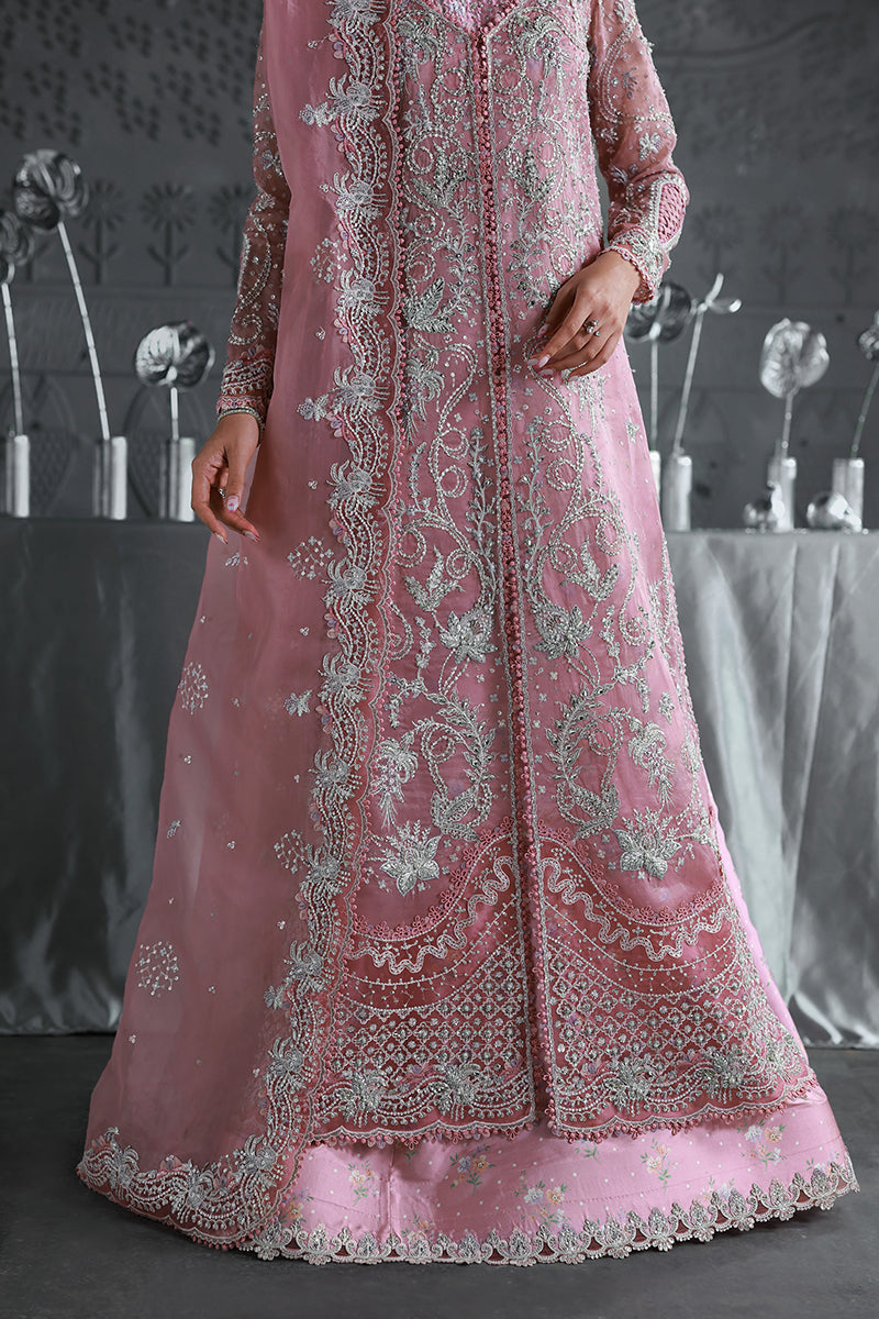 Qalamkar | Elirah Formals 25 | MF-07 ROSALYN - Ladies Clothes - Maria Faisal