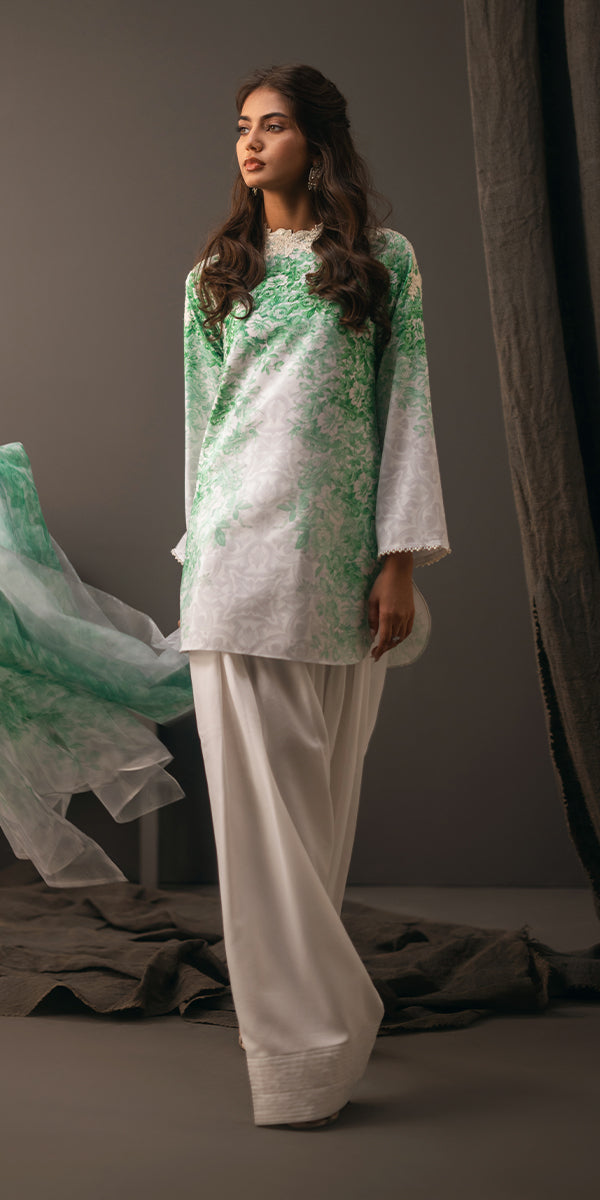 Erum Khan | Beyond Basic | VIVID ELEGANCE - Designer Dress with Intricate embroidery and embellishments. Shop elegent wedding dress at Maria Faisal.
