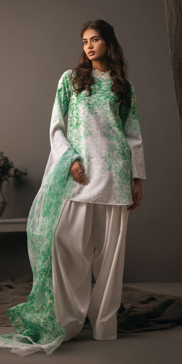Erum Khan | Beyond Basic | VIVID ELEGANCE - Designer Dress with Intricate embroidery and embellishments. Shop elegent wedding dress at Maria Faisal.