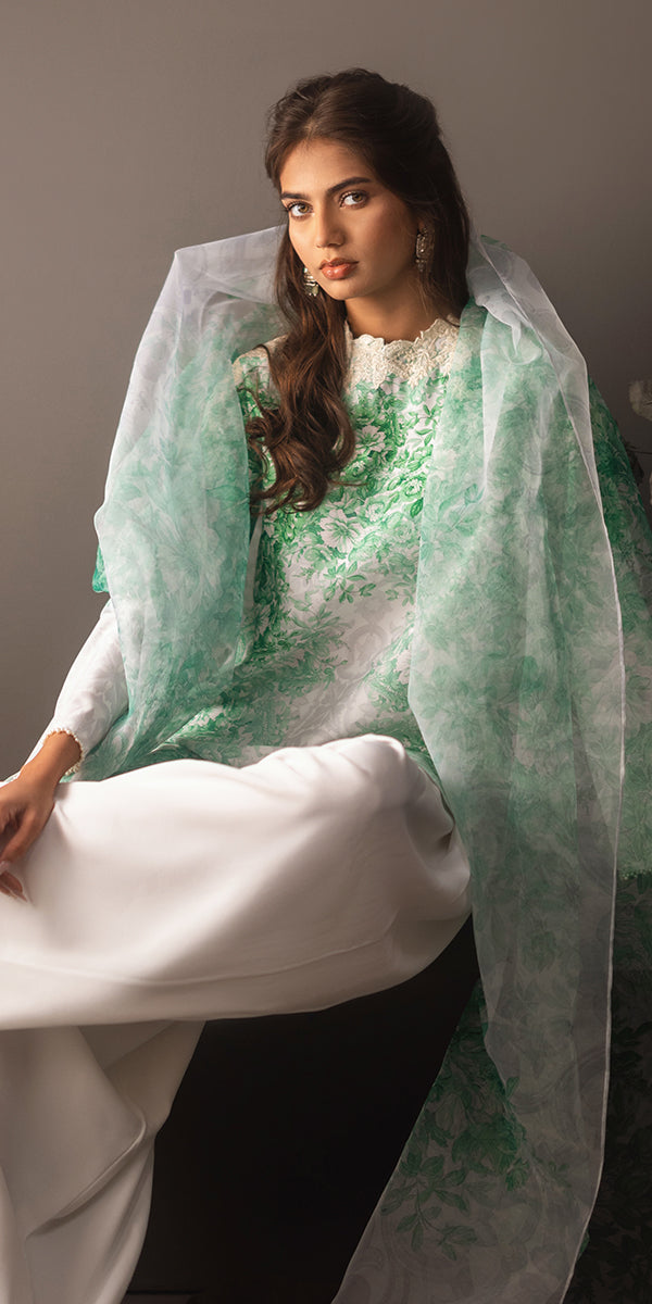 Erum Khan | Beyond Basic | VIVID ELEGANCE - Designer Dress with Intricate embroidery and embellishments. Shop elegent wedding dress at Maria Faisal.