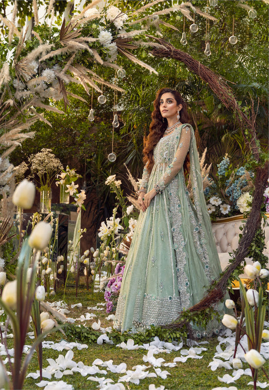 Maya | Wedding Formal Babul | PARNIYA - Maria Faisal