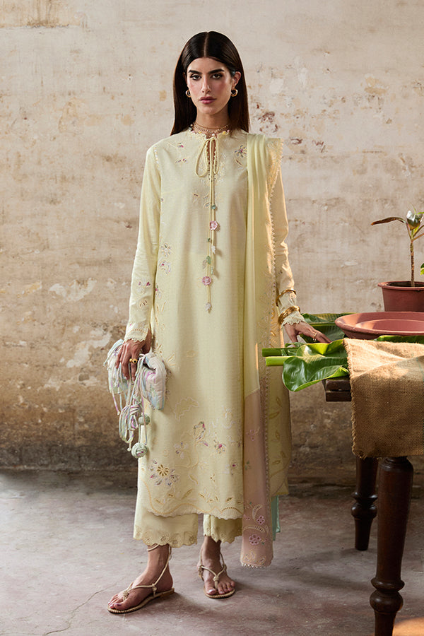 Suffuse | Basic Summer 25 | AMAAH - Ladies Clothes - Maria Faisal
