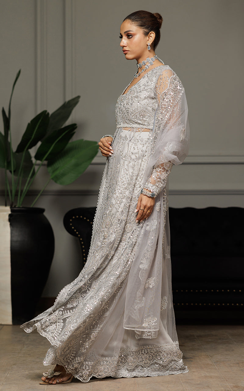 Threads and Motifs | Formal Dresses 25 | Net Embroidered Dress With Skirt And Dupatta