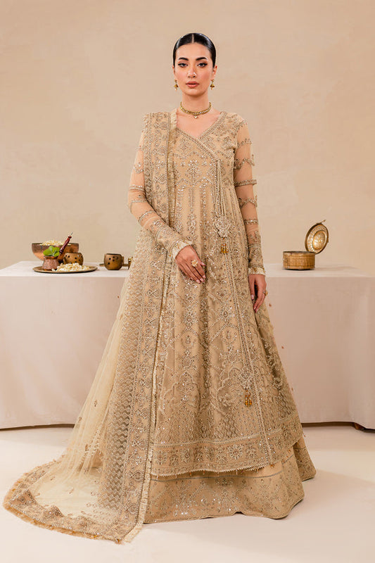 Farasha | Lumiere Formals | DREAMT FLAIR - Designer Dress with Intricate embroidery and embellishments. Shop elegent wedding dress at Maria Faisal.