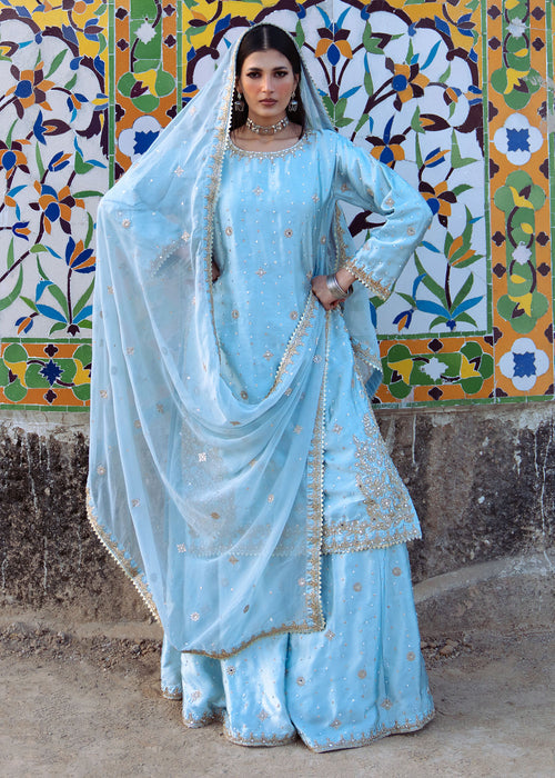 Haseens | Darbar Formals | €b«na - Dress - available at Maria Faisal in UK and USA.