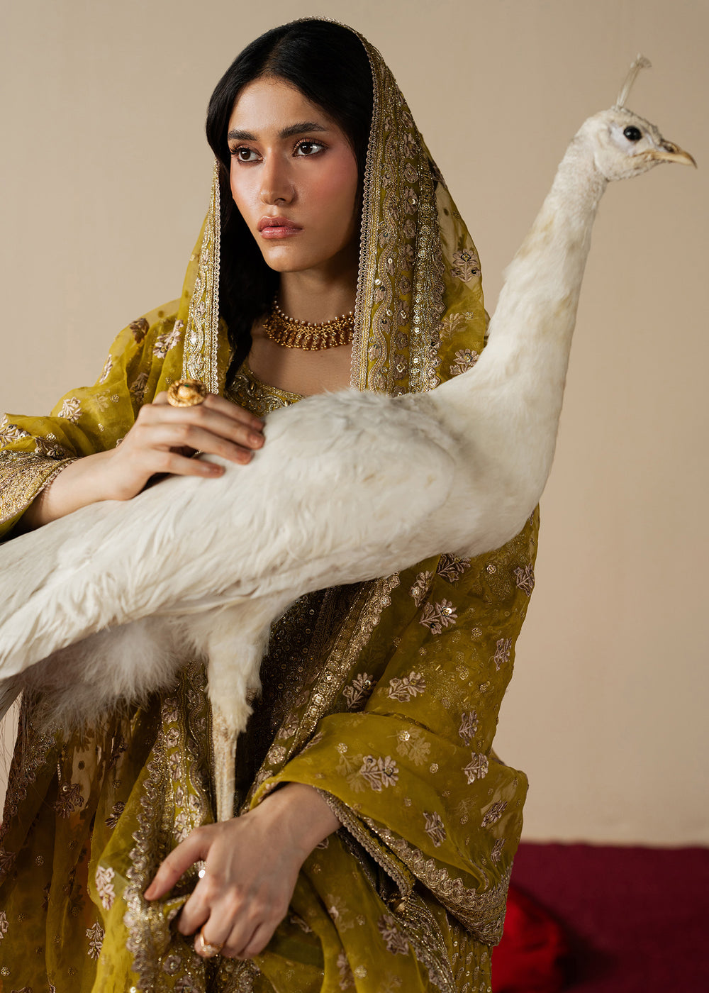 Haseens | Gulal Formals | Zarqam - Formal Dress - available at Maria Faisal in UK and USA.