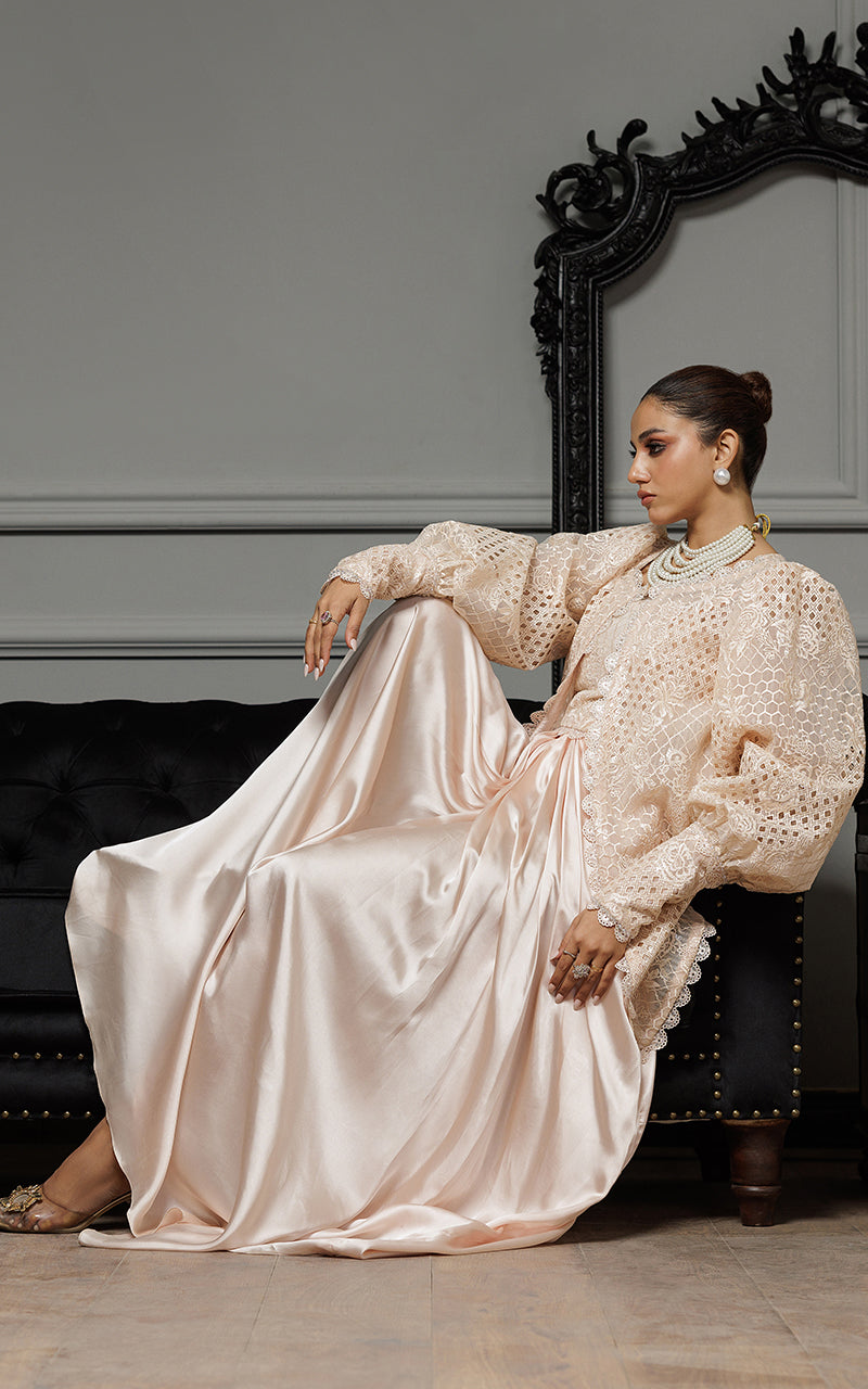 Threads and Motifs | Formal Dresses 25 | Organza Embroidered Jacket With Embroidered Tube And Skirt