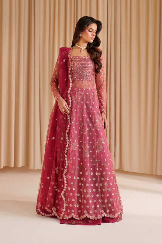 Iznik I Festive Formal I CC-72 Embroidered Net - Ladies Clothes - Maria Faisal