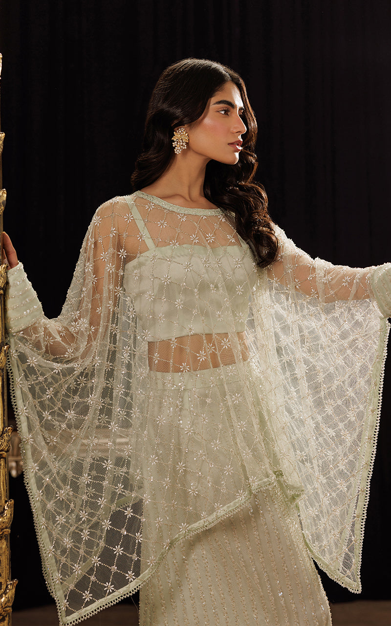 Threads and Motifs | Formal Dresses 25 | Net Embroidered Cape With Tube And Skirt