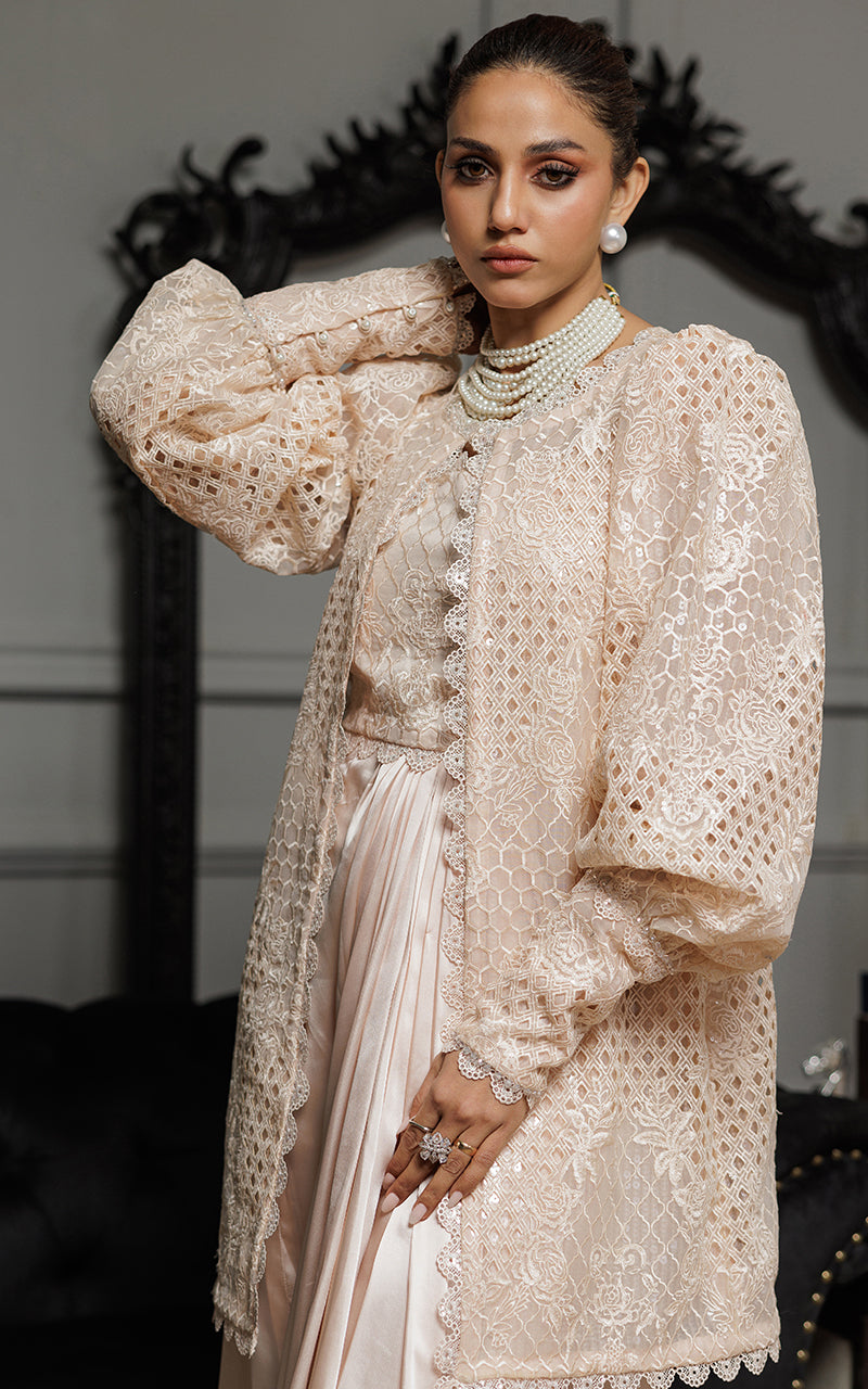 Threads and Motifs | Formal Dresses 25 | Organza Embroidered Jacket With Embroidered Tube And Skirt