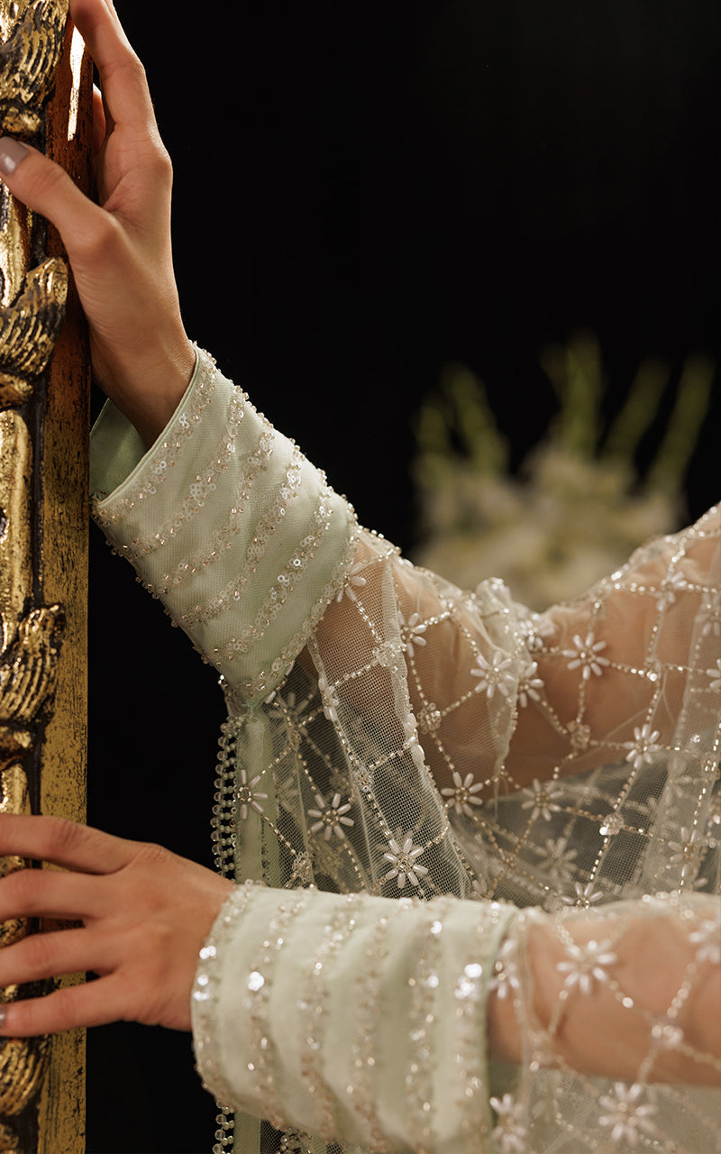 Threads and Motifs | Formal Dresses 25 | Net Embroidered Cape With Tube And Skirt