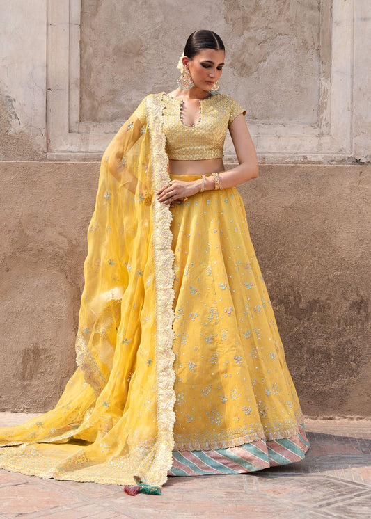 Sadaf Fawad Khan | Zeenat Formals 26 | Noor-e-Zard - Formal Dress - available at Maria Faisal in UK and USA.