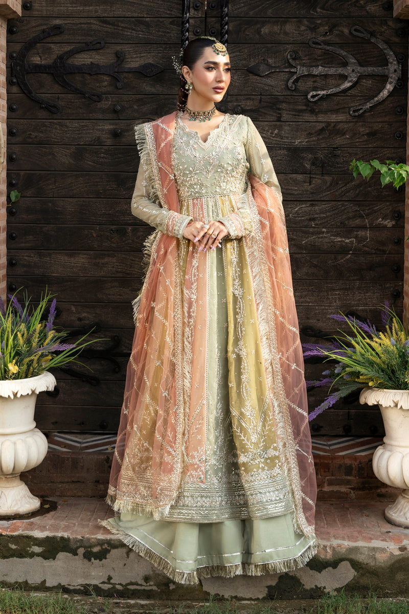 Rangrasiya | Wedding Formals 25 | Amil - Ladies Clothes - Maria Faisal