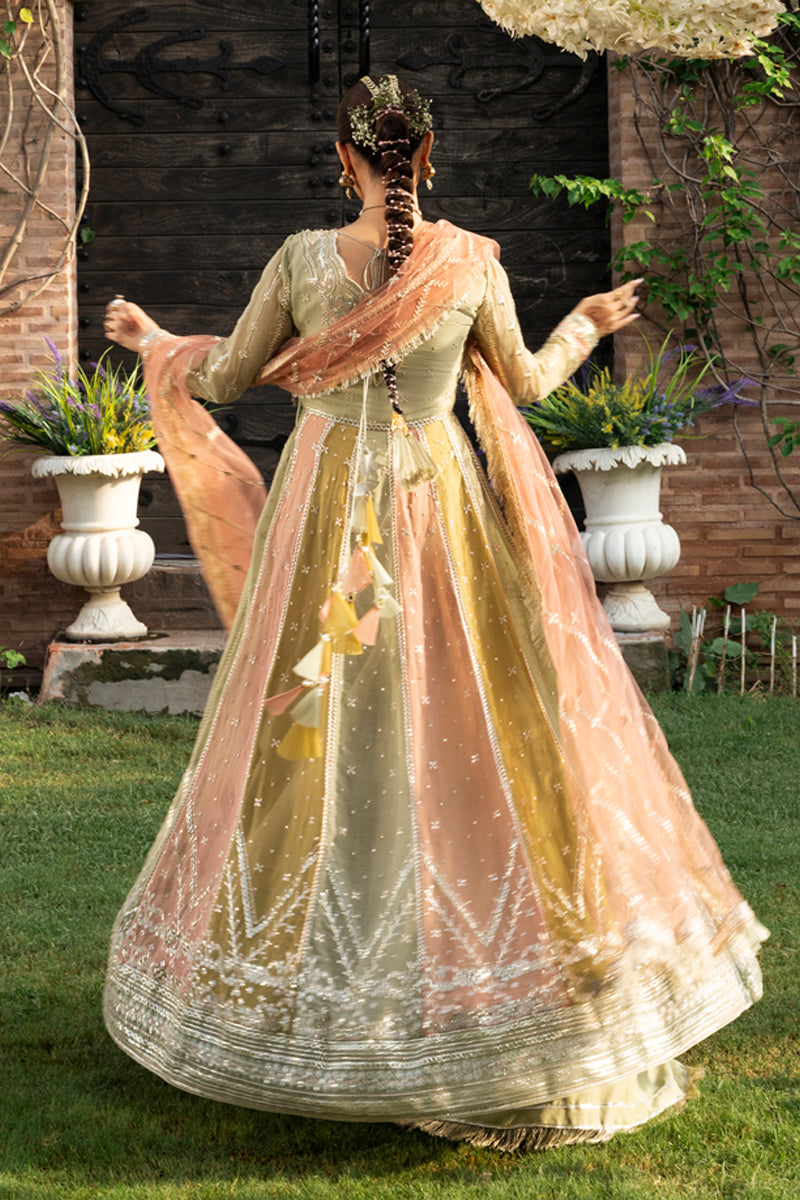 Rangrasiya | Wedding Formals 25 | Amil - Ladies Clothes - Maria Faisal