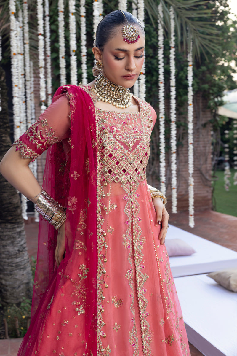 Rangrasiya | Wedding Formals 25 | Narmeen - Ladies Clothes - Maria Faisal
