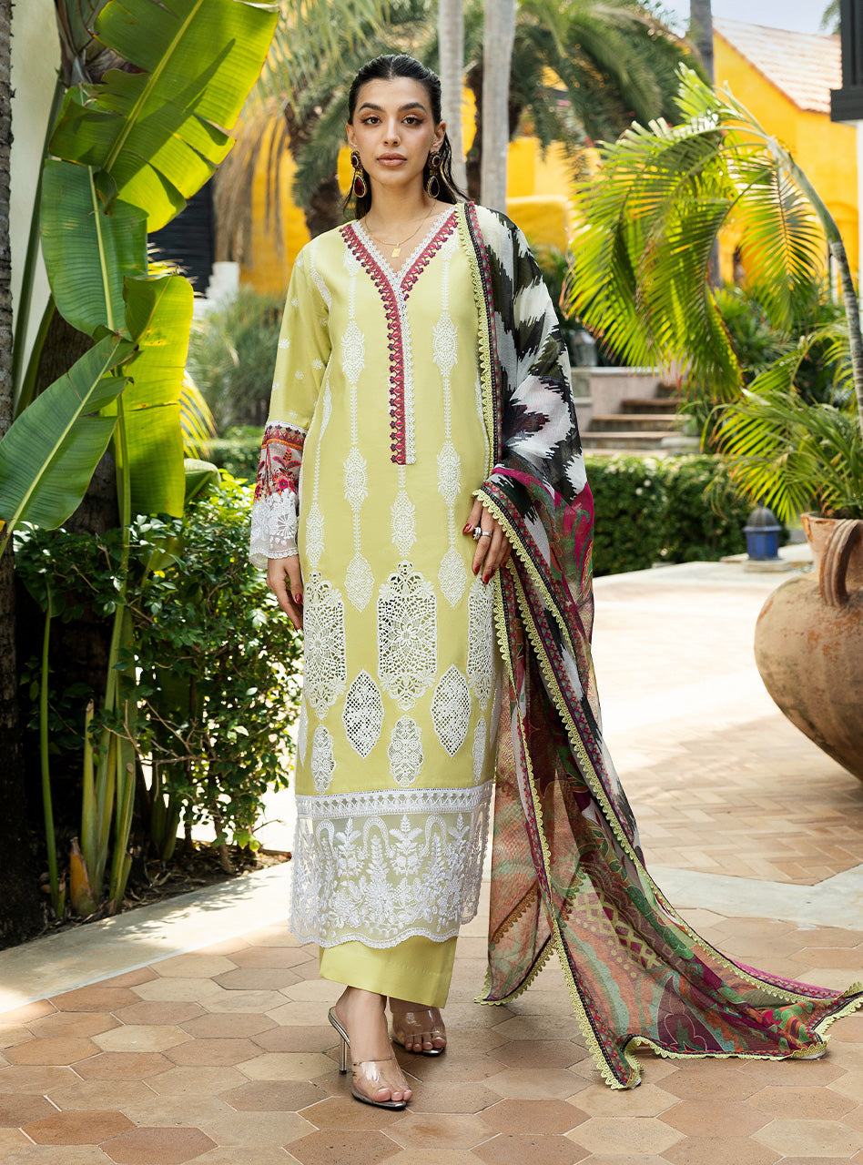 Zainab Chottani | Chikankari 25 | Rayne - 12A by Maria Faisal - Registered Vendor of : Zainab Chottani - type : Ladies Clothes - 100% original wedding dresses