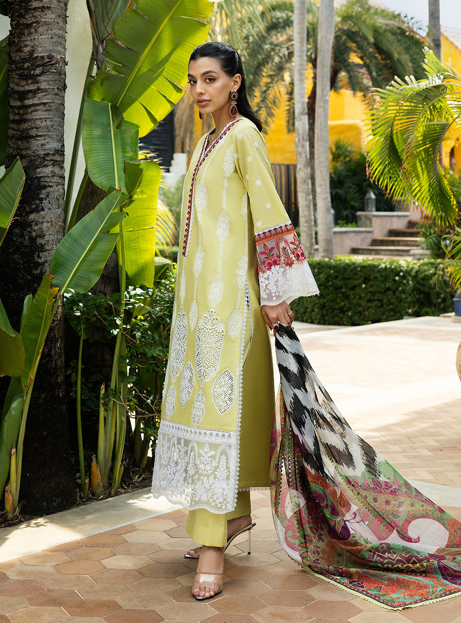 Zainab Chottani | Chikankari 25 | Rayne - 12A by Maria Faisal - Registered Vendor of : Zainab Chottani - type : Ladies Clothes - 100% original wedding dresses