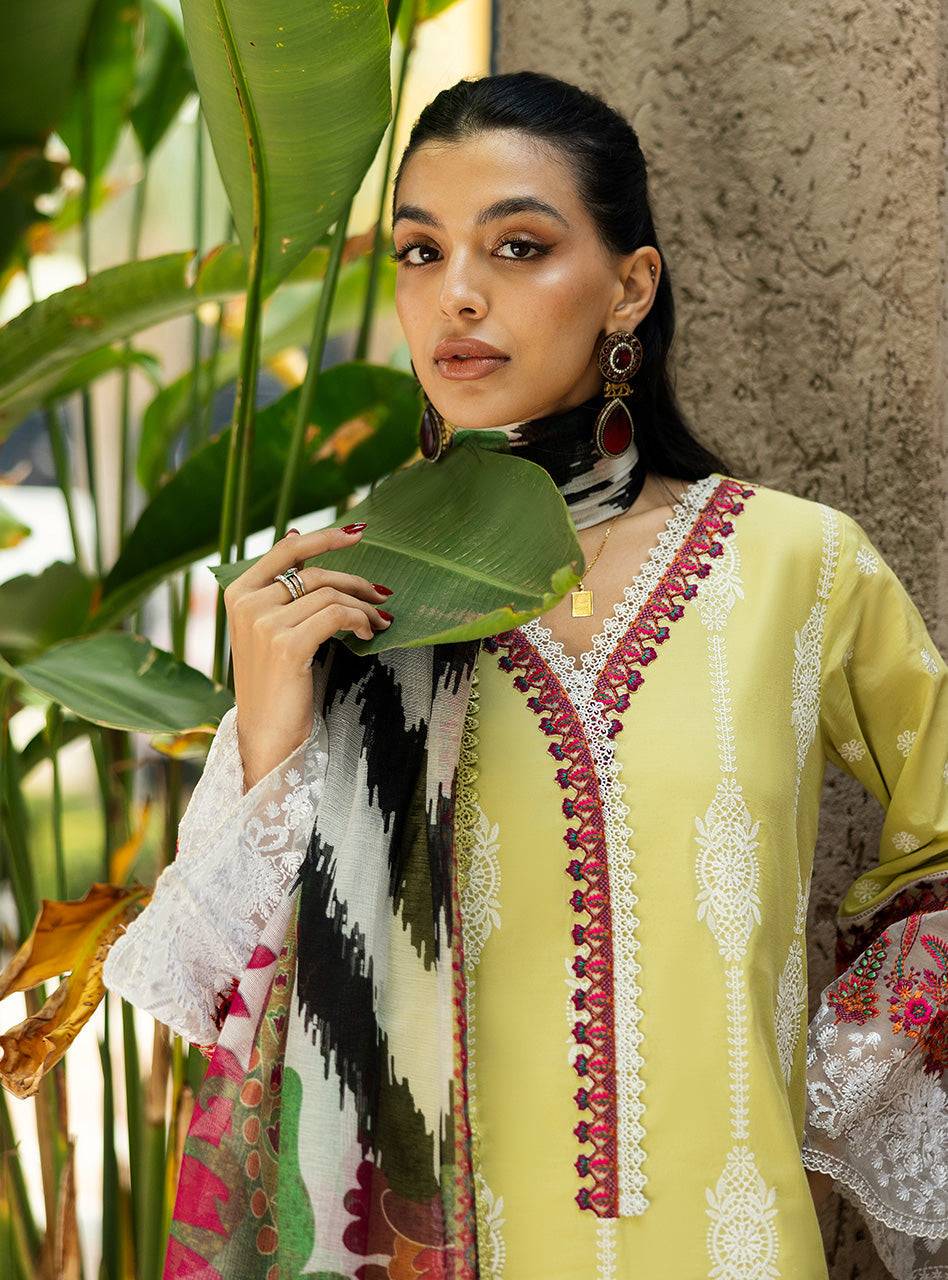 Zainab Chottani | Chikankari 25 | Rayne - 12A by Maria Faisal - Registered Vendor of : Zainab Chottani - type : Ladies Clothes - 100% original wedding dresses