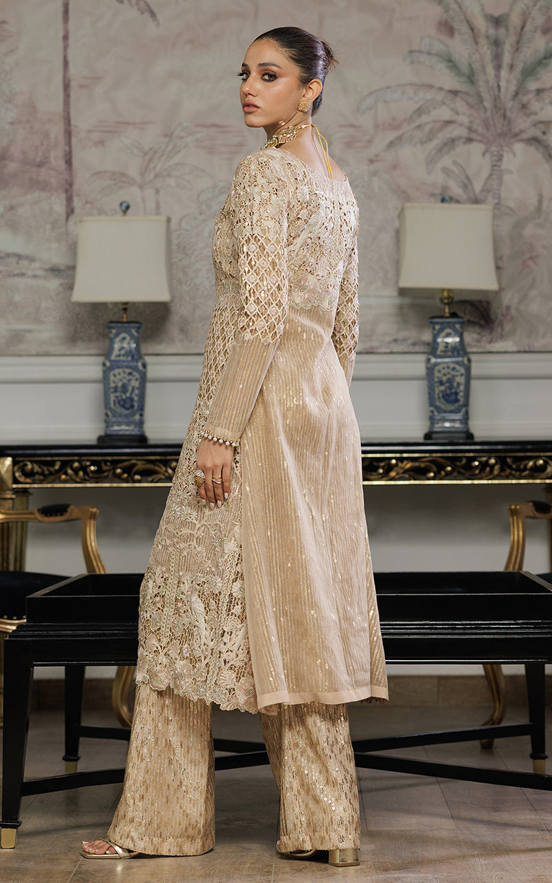 Threads and Motifs | Formal Dresses 25 | Organza Embroidered Dress With Trouser - Ladies Clothes - Maria Faisal
