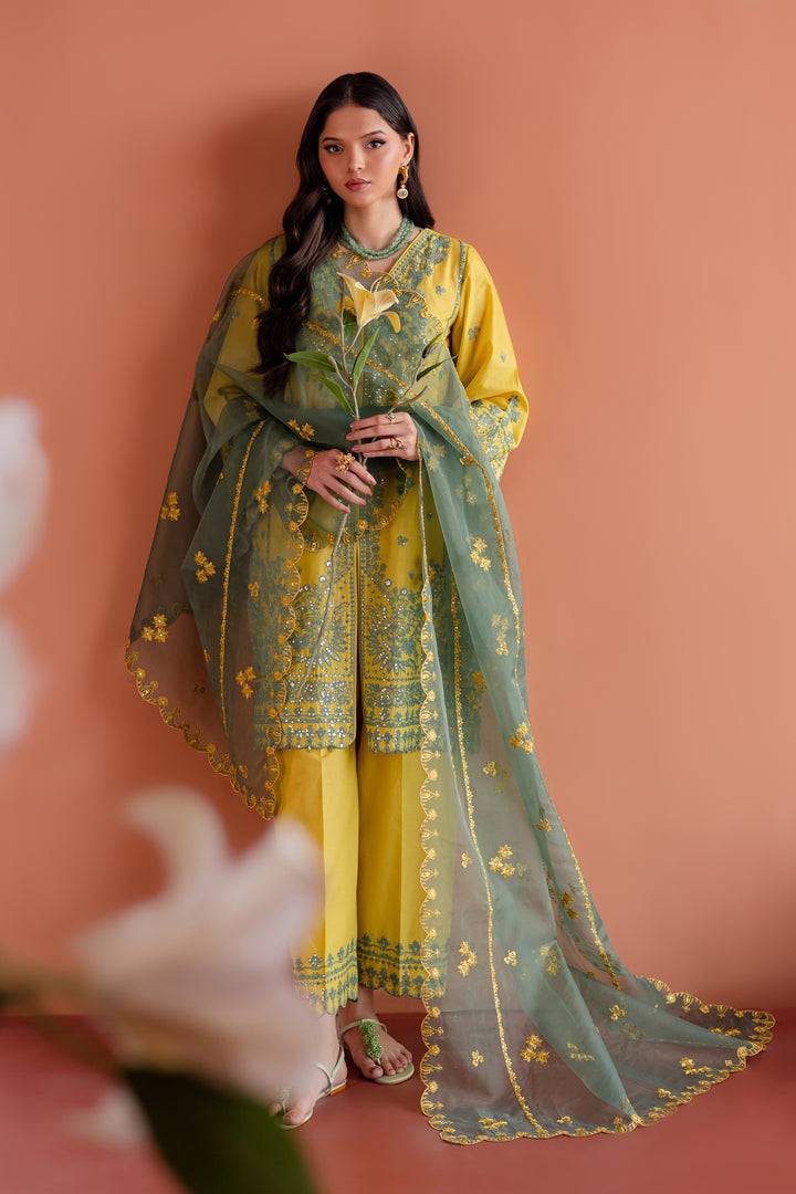 Batik | Aylin Festive Solids | Zane by Maria Faisal - Registered Vendor of : Batik - type : Ladies Clothes - 100% original wedding dresses
