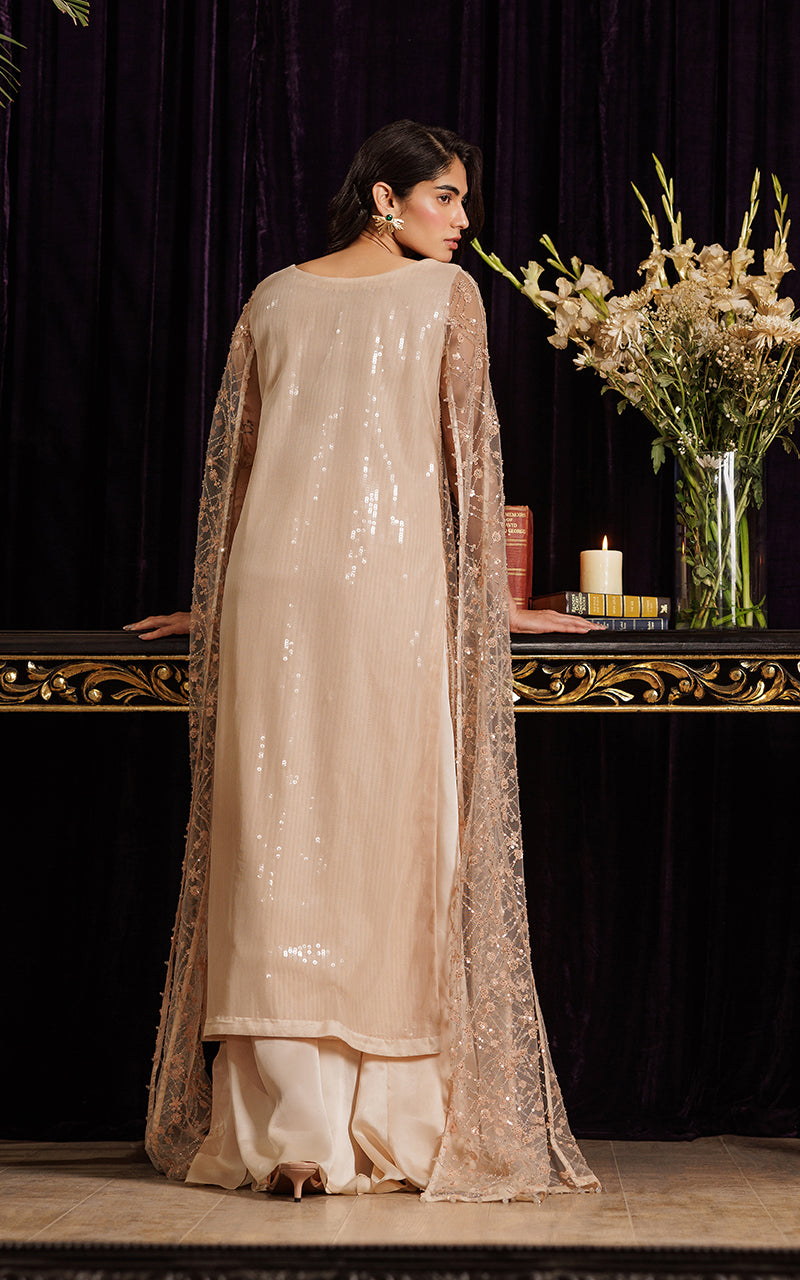 Threads and Motifs | Formal Dresses 25 | Net Embroidered Dress With Skirt