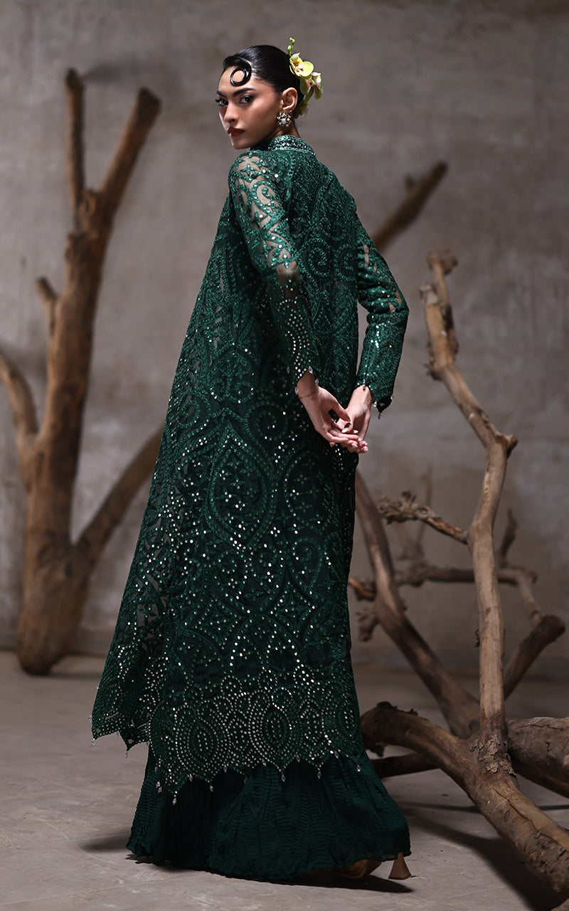 Threads and Motifs | Formal Dresses 25 | Organza Jacket With Crushed Trouser