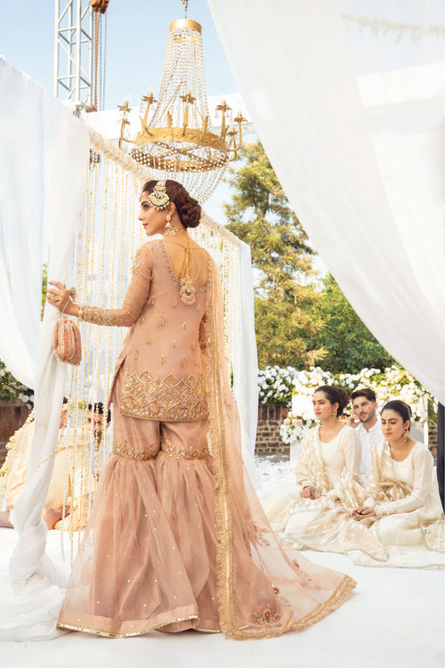 Maya | Wedding Formal Babul | ANAYAT - Maria Faisal