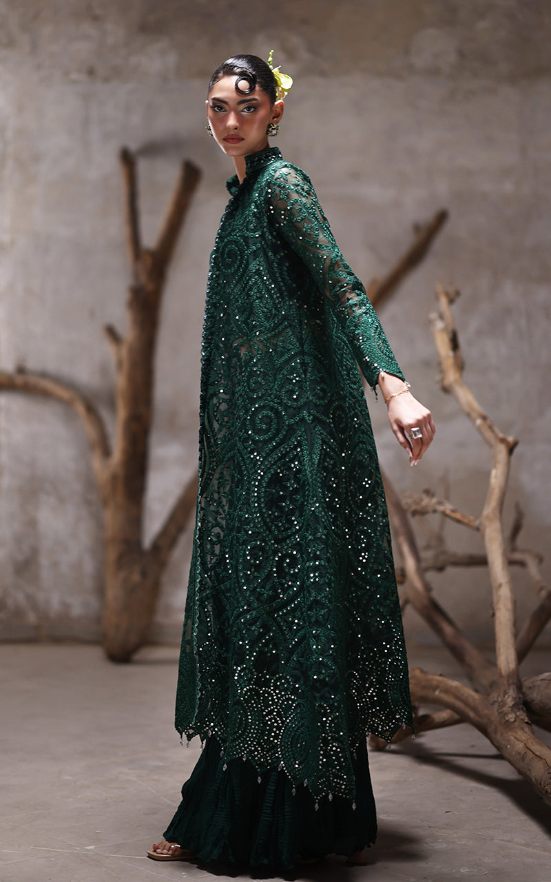 Threads and Motifs | Formal Dresses 25 | Organza Jacket With Crushed Trouser