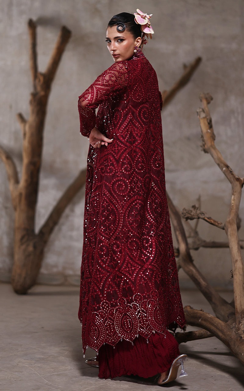 Threads and Motifs | Formal Dresses 25 | Organza Jacket With Crushed Trouser