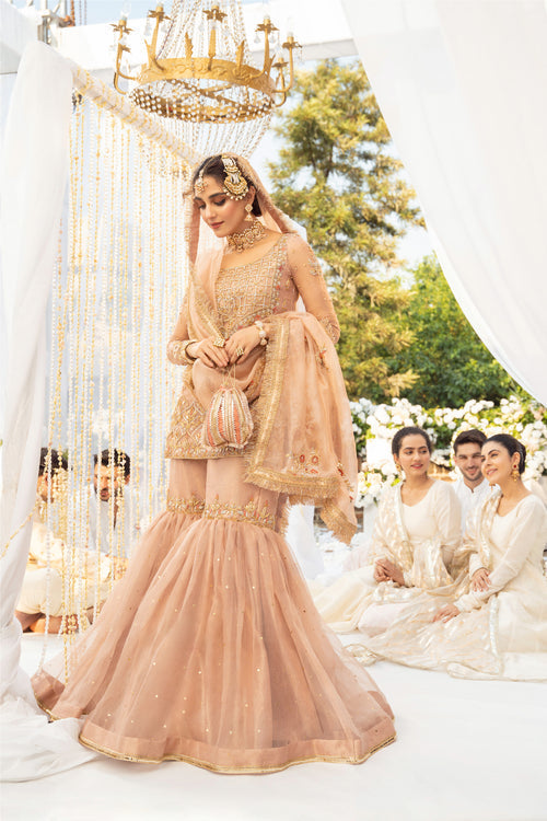 Maya | Wedding Formal Babul | ANAYAT - Maria Faisal