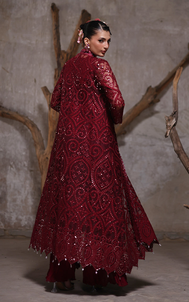 Threads and Motifs | Formal Dresses 25 | Organza Jacket With Crushed Trouser