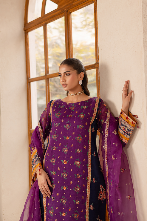 Emaan Adeel | Noore Festive Formals | NAYERA by Maria Faisal - Registered Vendor of : Emaan Adeel - type : Ladies Clothes - 100% original wedding dresses