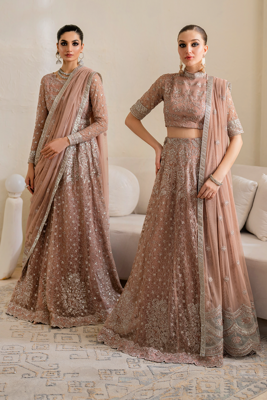Iznik | Chinnon Chiffon | CC-43 Embroidered Net - Ladies Clothes - Maria Faisal