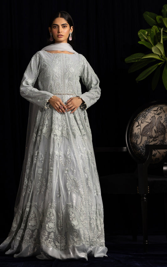 Threads and Motifs | Formal Dresses 25 | Net Embroidered Maxi - Ladies Clothes - Maria Faisal