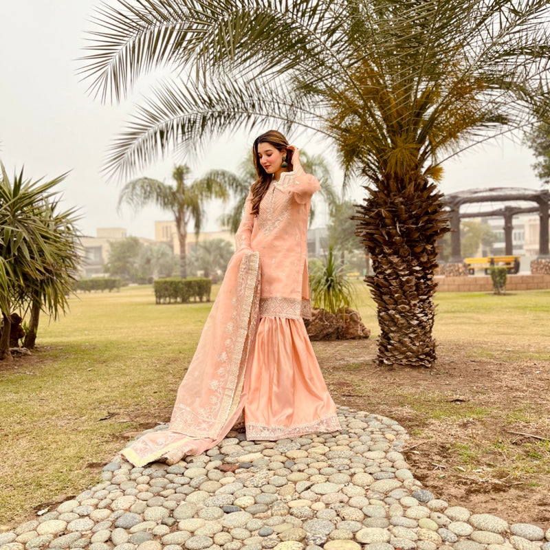 Daud Abbas | Formals Collection | Zaira - Waniyas
