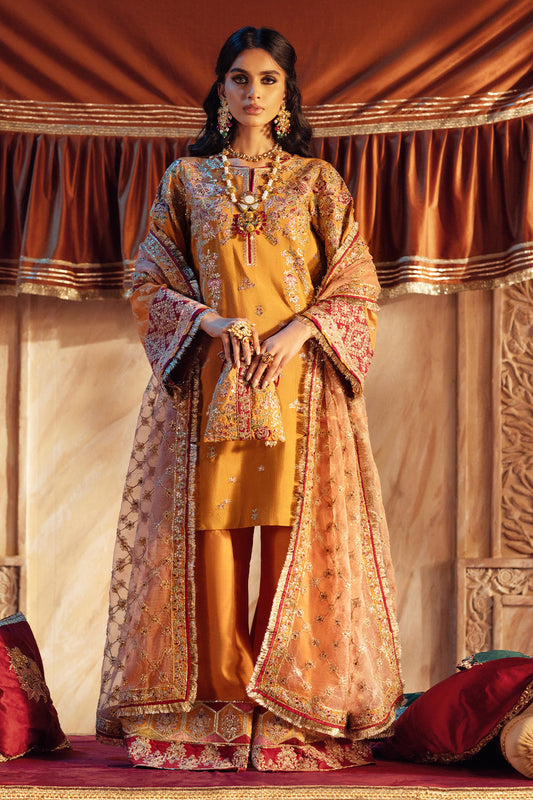 AJR Couture | The Silk Edition 25 | ZAREEN - Ladies Clothes 