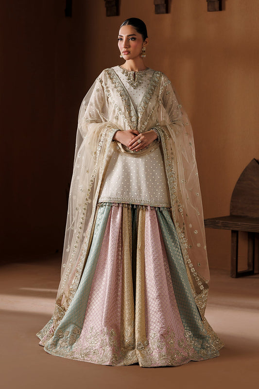 Embroidered Chiffon Baroque Gharara Multi | SF-4435