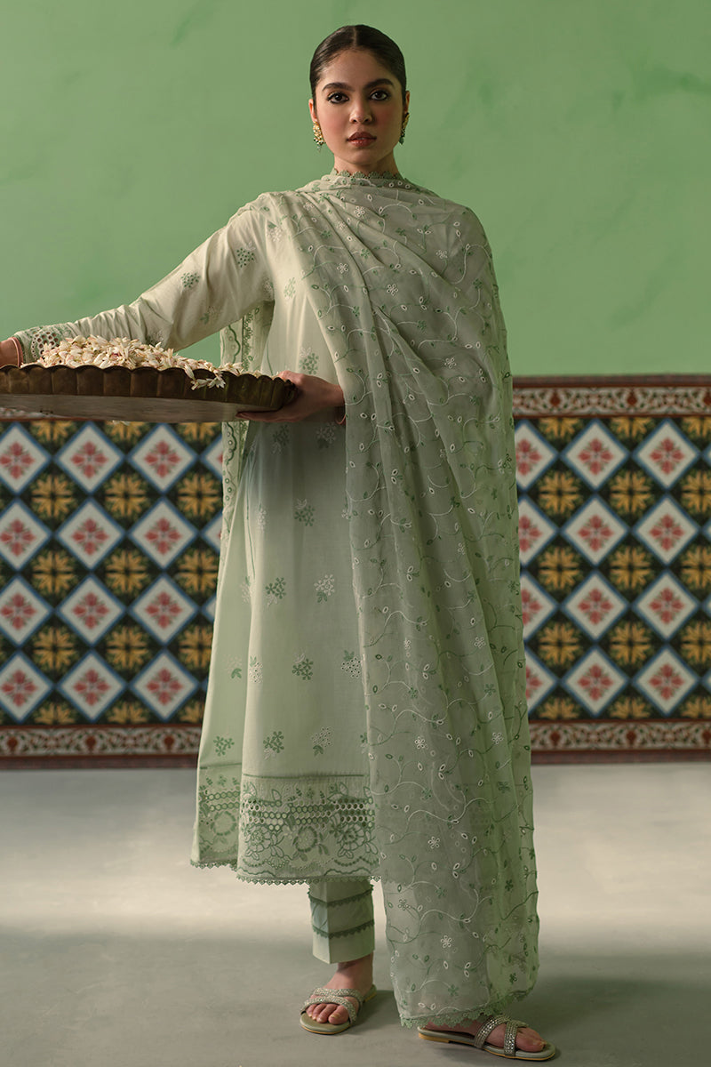 Cross Stitch | Chikankari Lawn Collection | P-01 - Maria Faisal